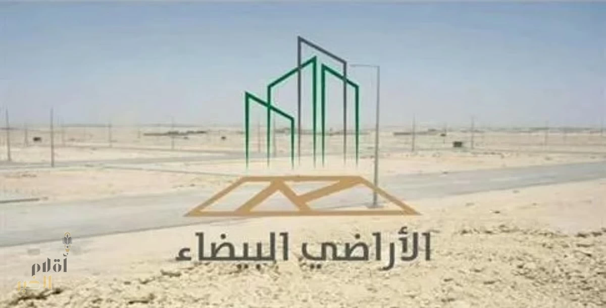 "الأراضي البيضاء والعقارات الشاغرة": 20 يومًا على نهاية فترة التسجيل.. والغرامات تُطبق على غير المسجلين