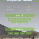 البرنامج الوطني للتشجير: ثراءٌ بيولوجي فريد يُسهم في انتشار 55 نوعًا من النباتات المحلية الملائمة للتشجير في القصيم