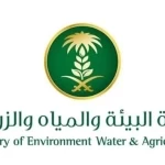 "بيئة المدينة المنورة" تنفّذ أكثر من (3) آلاف جولة رقابية في الأسواق والمسالخ خلال شهر رمضان