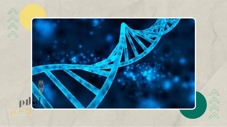 في إنجاز علمي بحثي.. خرائط جينية جديدة تُعزز دقة التشخيص والعلاج للأمراض الوراثية