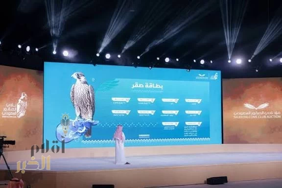 بيع شاهين شرورة بـ351 ألف ريال في الليلة الـ25 لمزاد نادي الصقور السعودي 2025