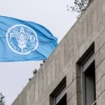 منظمة الفاو: أزمة مضيق هرمز تهدد الأمن الغذائي العالمي