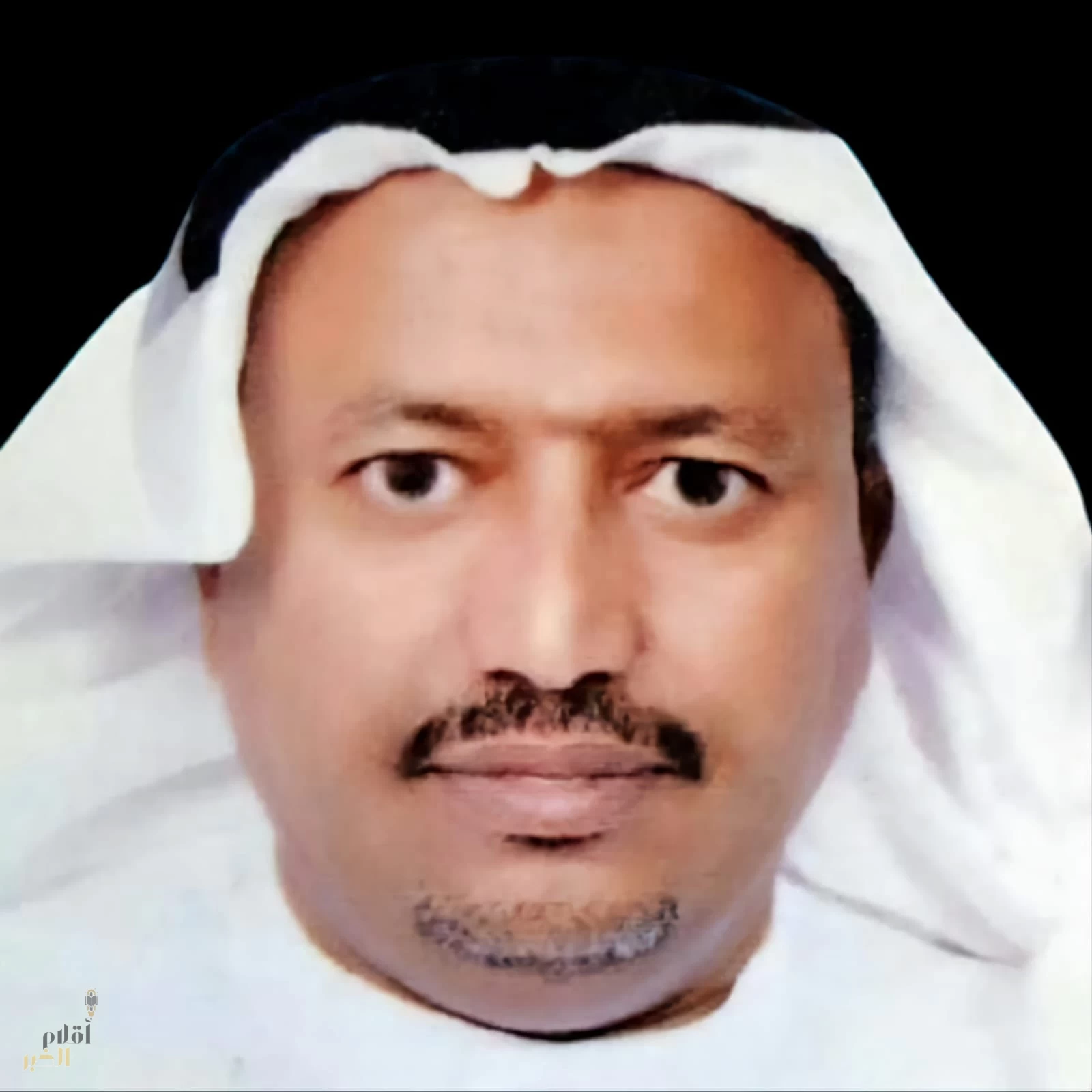 "الحشرات" في حياتنا