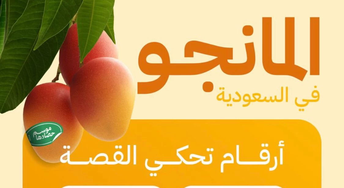 "البيئة": المملكة تنتج 89.5 آلاف طن من المانجو سنويًا ومنطقة جازان تتصدر بإنتاج 60 ألف طن