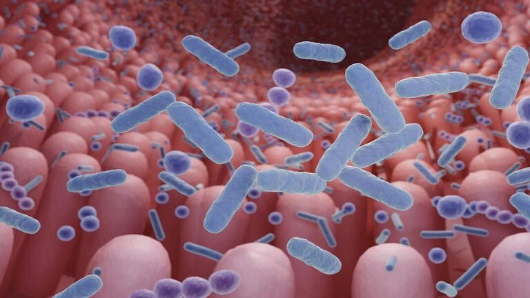 الليستريات تهدد كندا: مأساة صحية تحت الأضواء تعلن تفاصيلها الحكومة الكندية