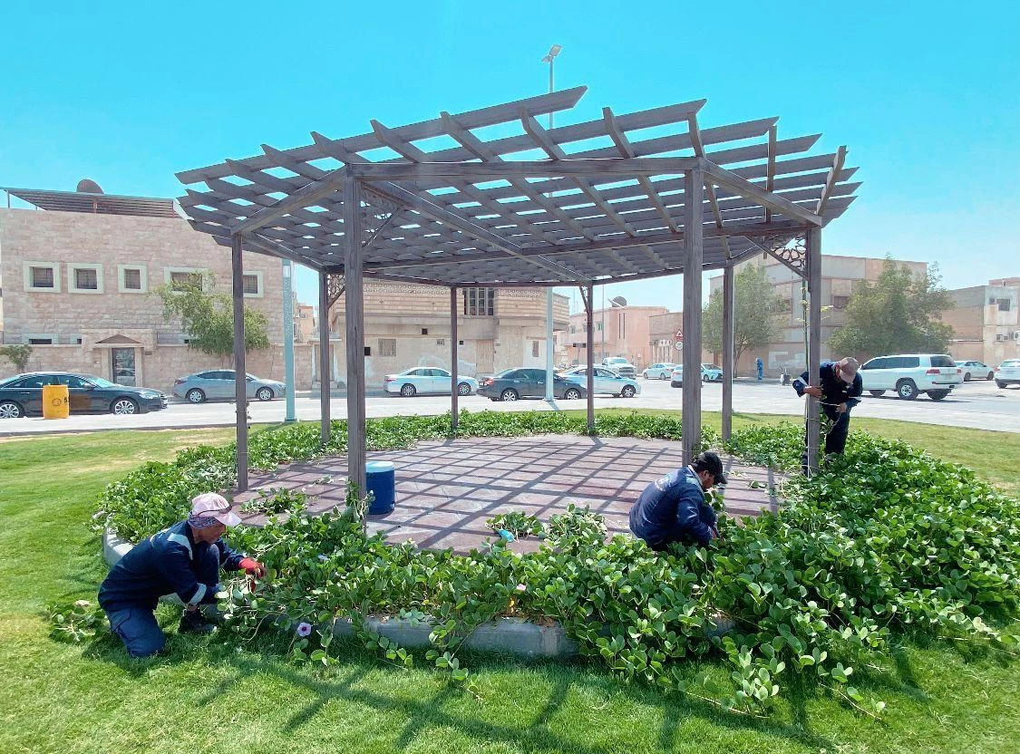 أمانة الشرقية إعادة تأهيل أكثر من 327345م٢ وزراعة 110 ألف زهور موسمية ونباتات معمرة في بقيق 