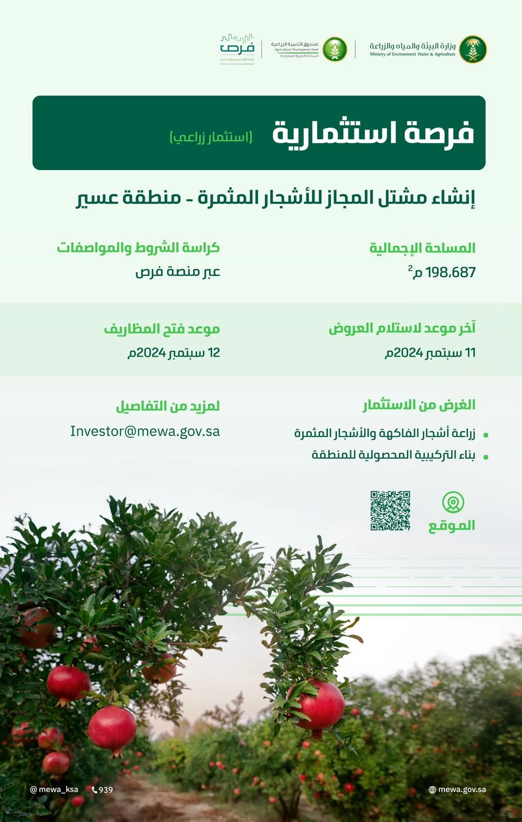 وزارة "البيئة" تطرح فرصة استثمارية لإنشاء مشتل للأشجار المثمرة بمساحة 198.6 ألف متر مربع في عسير