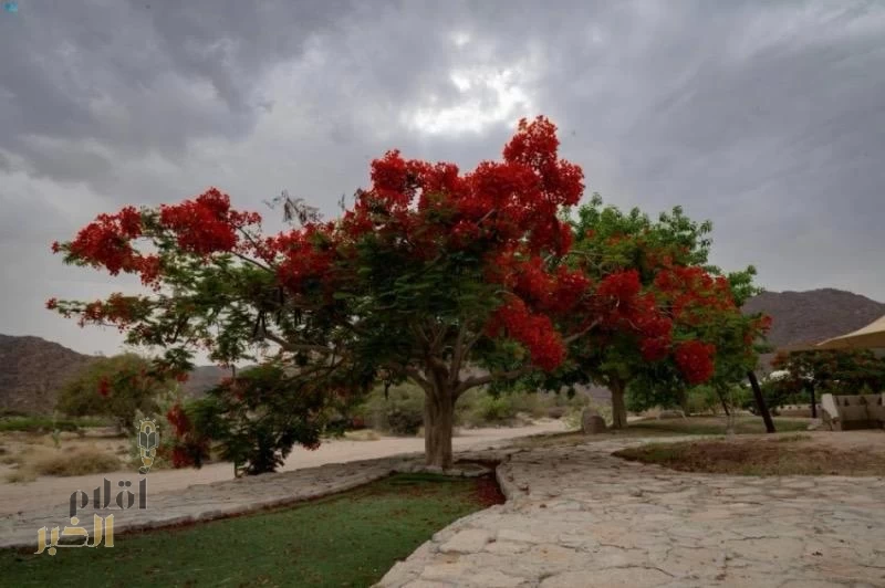 مُنتَزَه مُوعَاَة بنجران .. جمال الطبيعة البكْر والْهدوء والأسترخاء