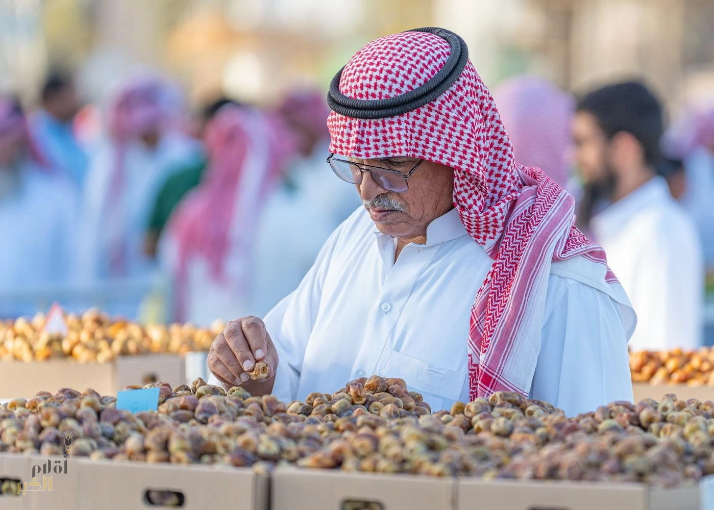 موسم عنيزة الدولي للتمور يواصل توهجه وإرتفاع مبيعاته  