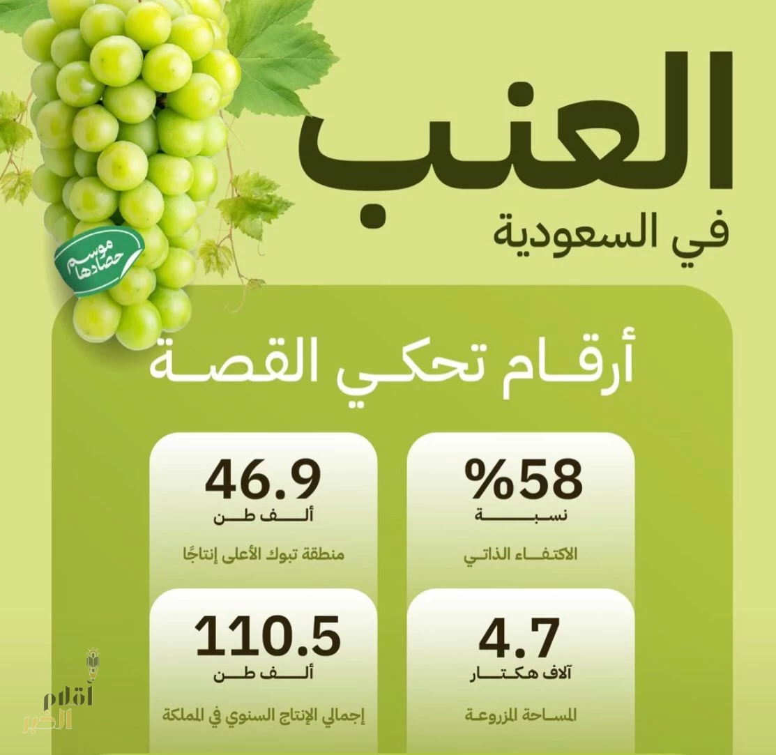"البيئة": 110.5 آلاف طن إنتاج المملكة من فاكهة العنب سنويًا ومنطقة تبوك تتصدر بإنتاج 46.9 آلاف طن