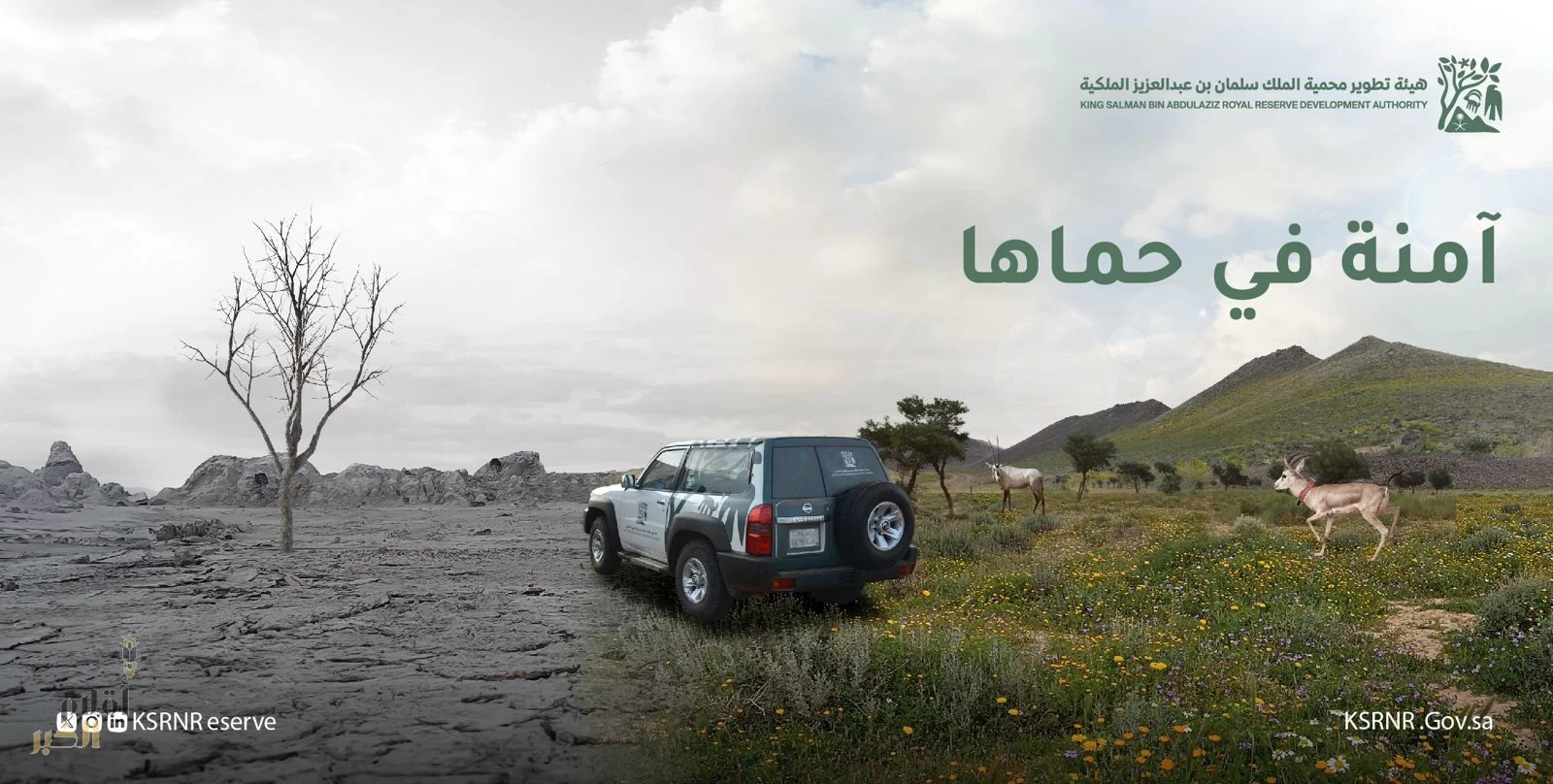 هيئة تطوير محمية الملك سلمان بن عبدالعزيز الملكية تُطلق حملة "أعتقها"