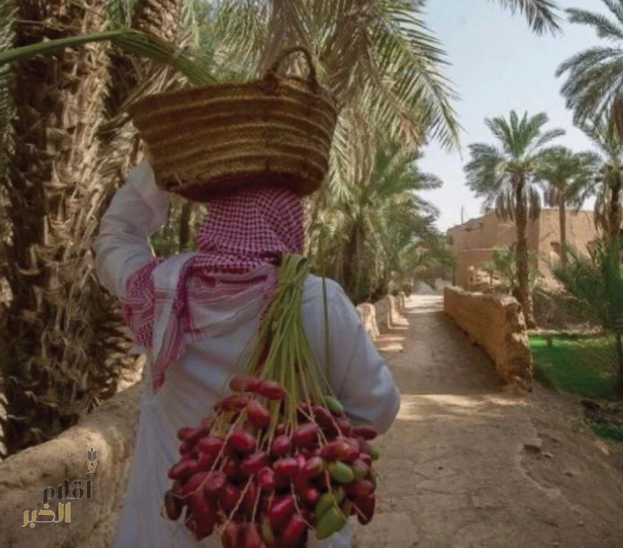 انطلاق المهرجان الخامس للتمور بروضة سدير 