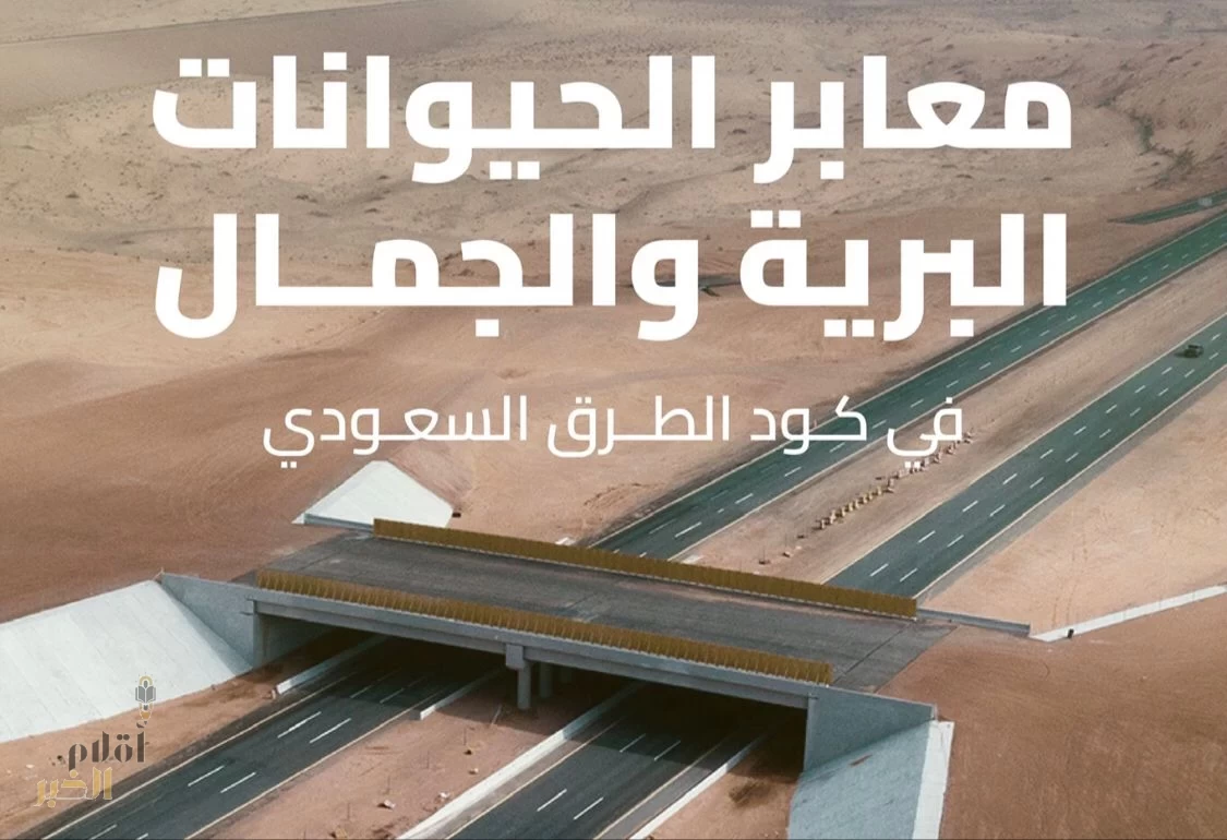 "هيئة الطرق": كود الطرق السعودي يضع معايير موحدة لمعابر الحيوانات البرية والجمال