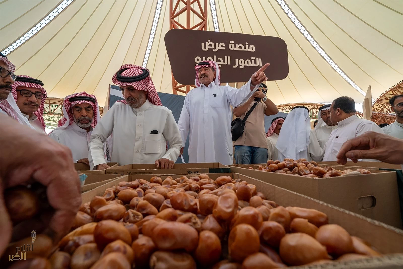 انطلاق موسم صرام التمور بالأحساء