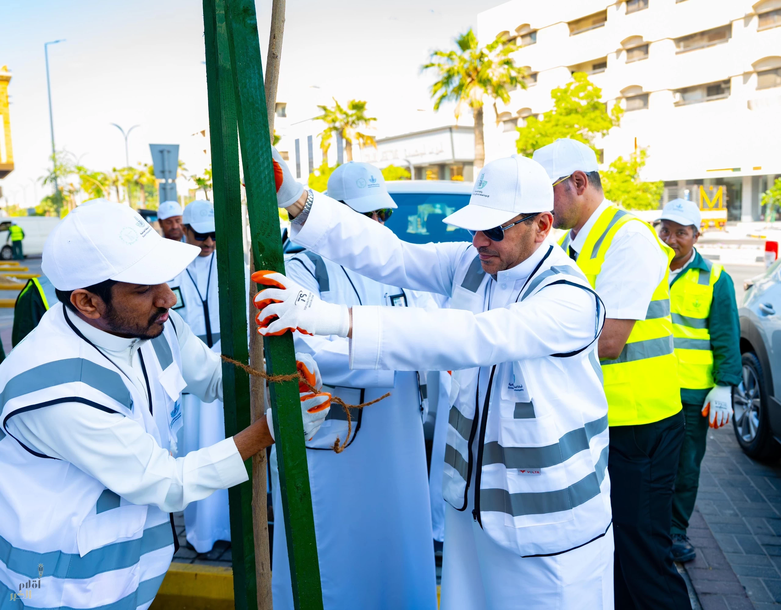 أمانة الشرقية تطلق مبادرة (شرقيتنا خضراء) تستهدف خلالها زراعة 3 مليون زهرة و 500 ألف شجرة بالدمام