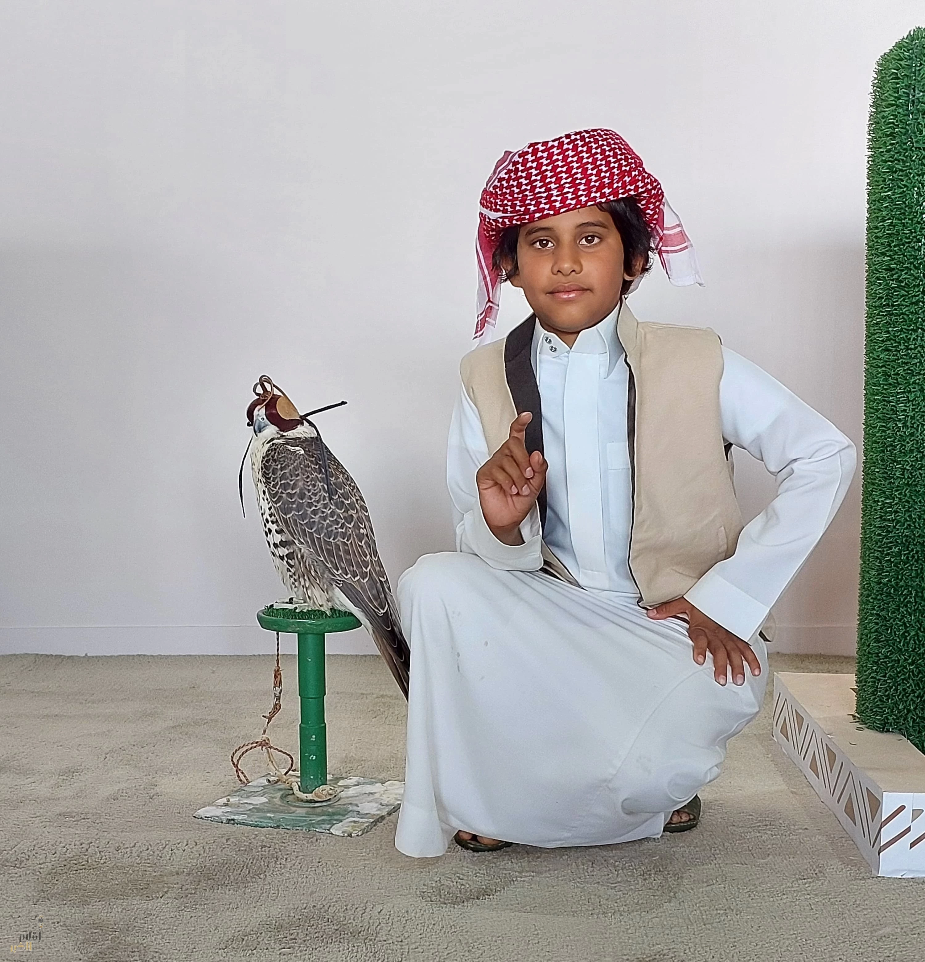 محمد ثقل.. سن الرابعة انطلاقتي أملك 8 طيور.. وأبحث عن المركز الاول 