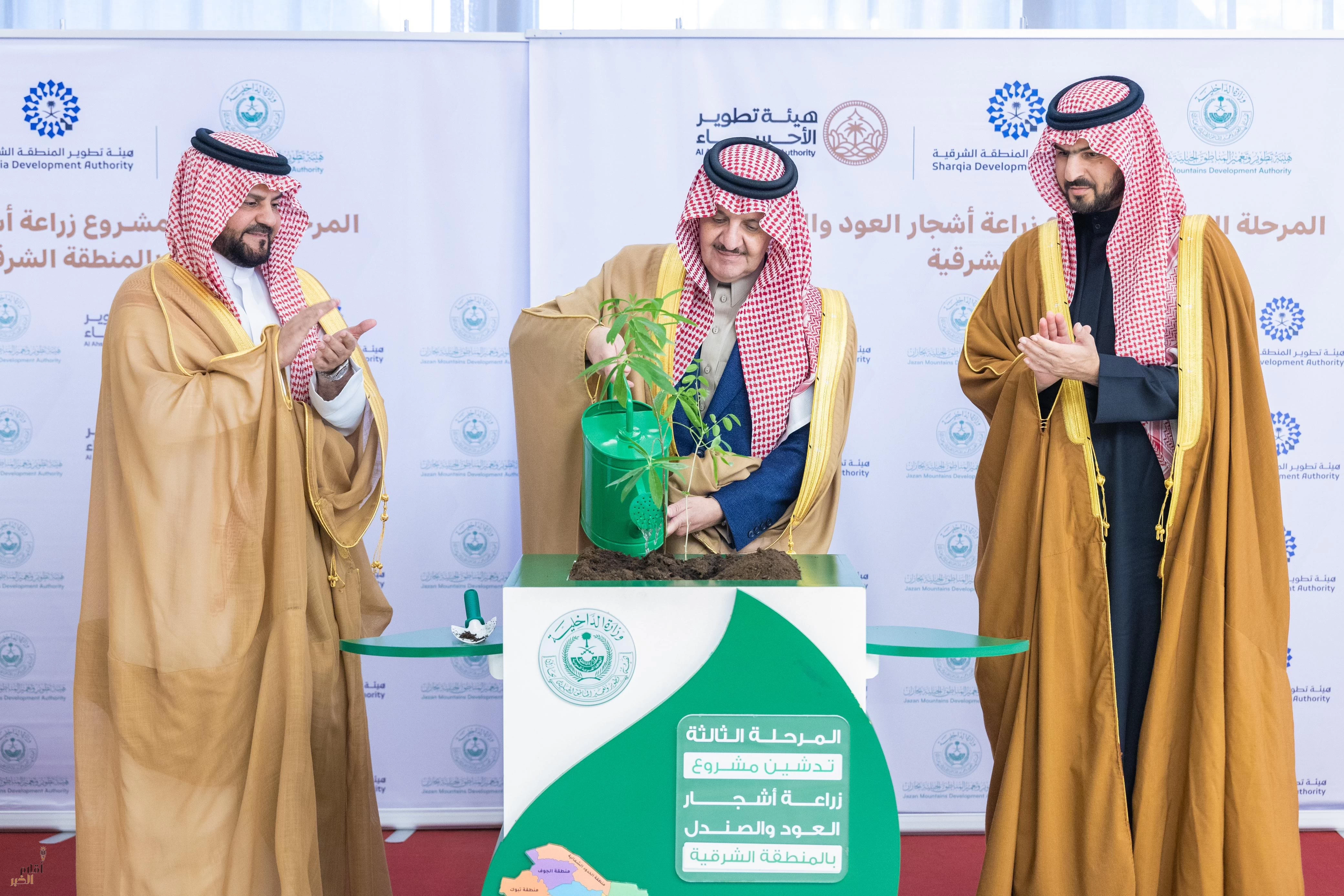 أمير الشرقية يغرس أول شتلة "صندل" بالمنطقة الشرقية في مبادرة السعودية الخضراء