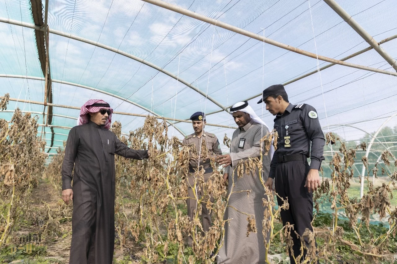 “إدارة الأزمات والطوارئ بأمانة حفر الباطن تباشر حصر آثار الصقيع في مزارع المحافظة”