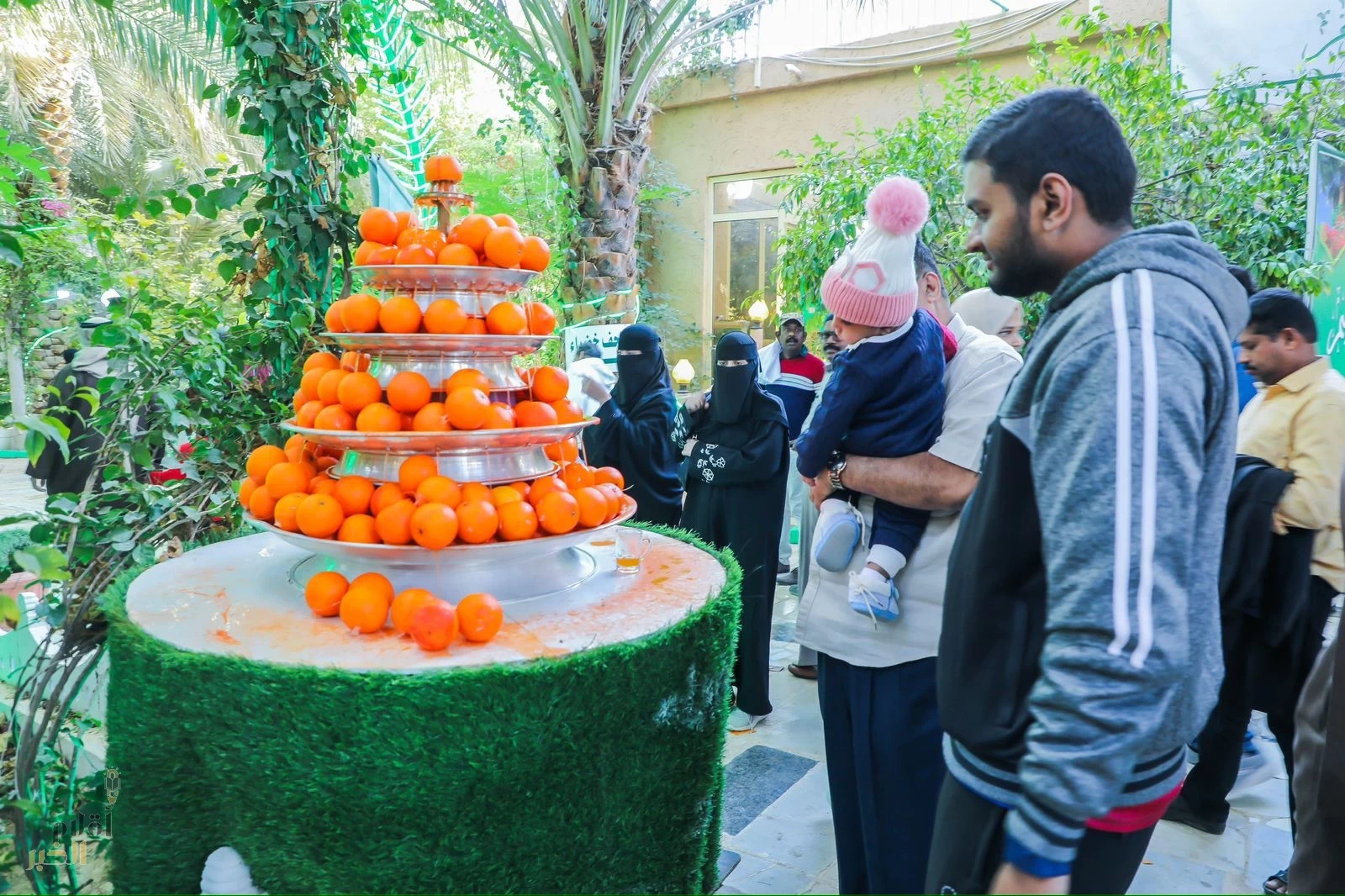 مهرجان حمضيات الحريق يبرز المعالم السياحية والتراثية للمنطقة