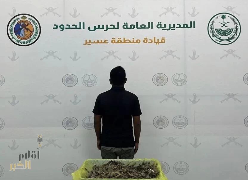 حرس الحدود بعسير يضبط شخصًا مخالفًا للصيد الغير القانوني