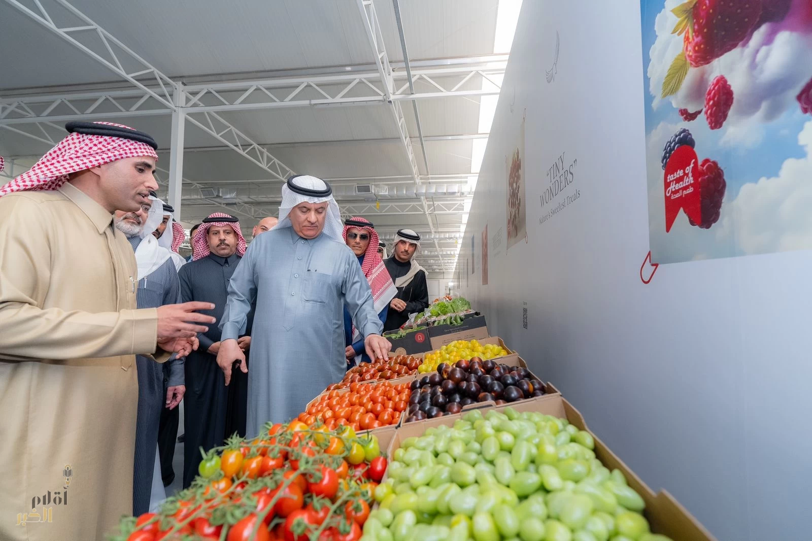 وزير "البيئة" يشيد بالطفرة غير المسبوقة في قطاع الزراعة باعتماد شركات القطاع الخاص استخدام التقنيات الزراعية الحديثة