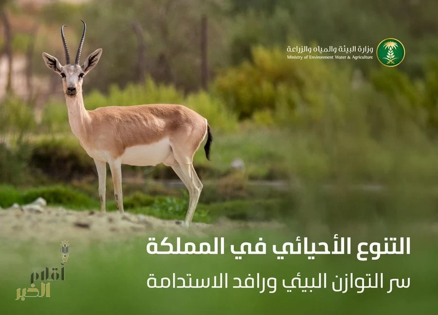 المملكة تشارك العالم الاحتفال باليوم الدولي للتنوع البيولوجي لتعزيز استدامة النظم البيئية والمحافظة عليها