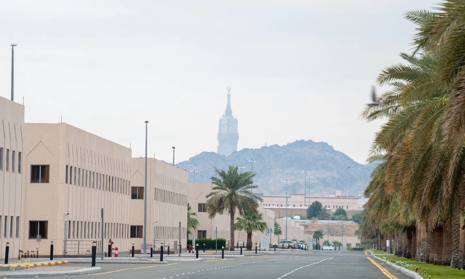 "عقارات الدولة" تعلن جاهزية مجمَّع الدوائر الحكومية بحمى المشاعر المقدسة لموسم الحج 1446 هـ