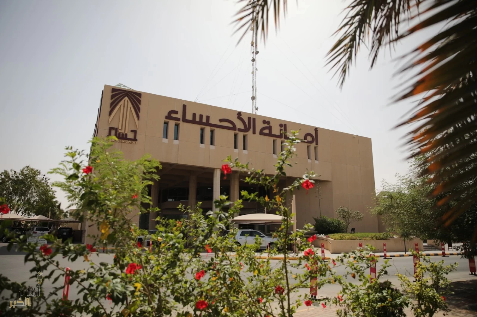 أمانة الاحساء تُفعّل خدمة تصريح ذبح الاضاحي عبر منصة " بلدي "
