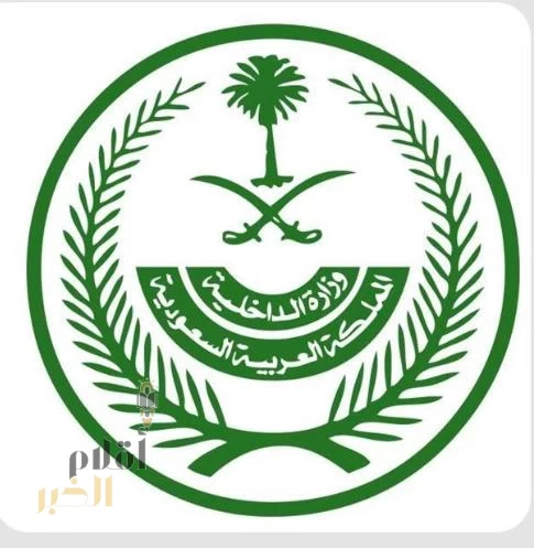 الداخلية تلقي القبض على شبكة إجرامية