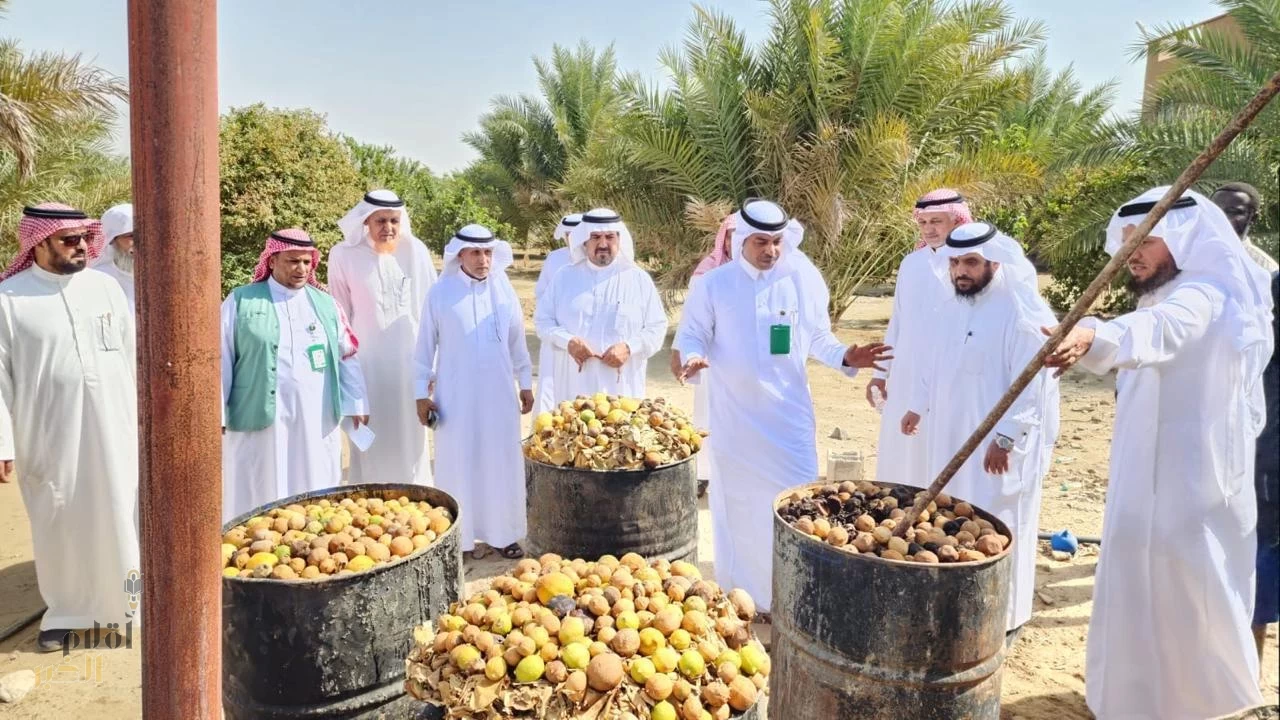 بيئة العرضيات تقدم ورشة عمل عن تحويل المخلفات الزراعيّة إلى موارد مستدامة