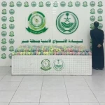 دوريات الأفواج الأمنية بمنطقة عسير تقبض على شخص لترويجه 54كلجم من نبات القات المخدر