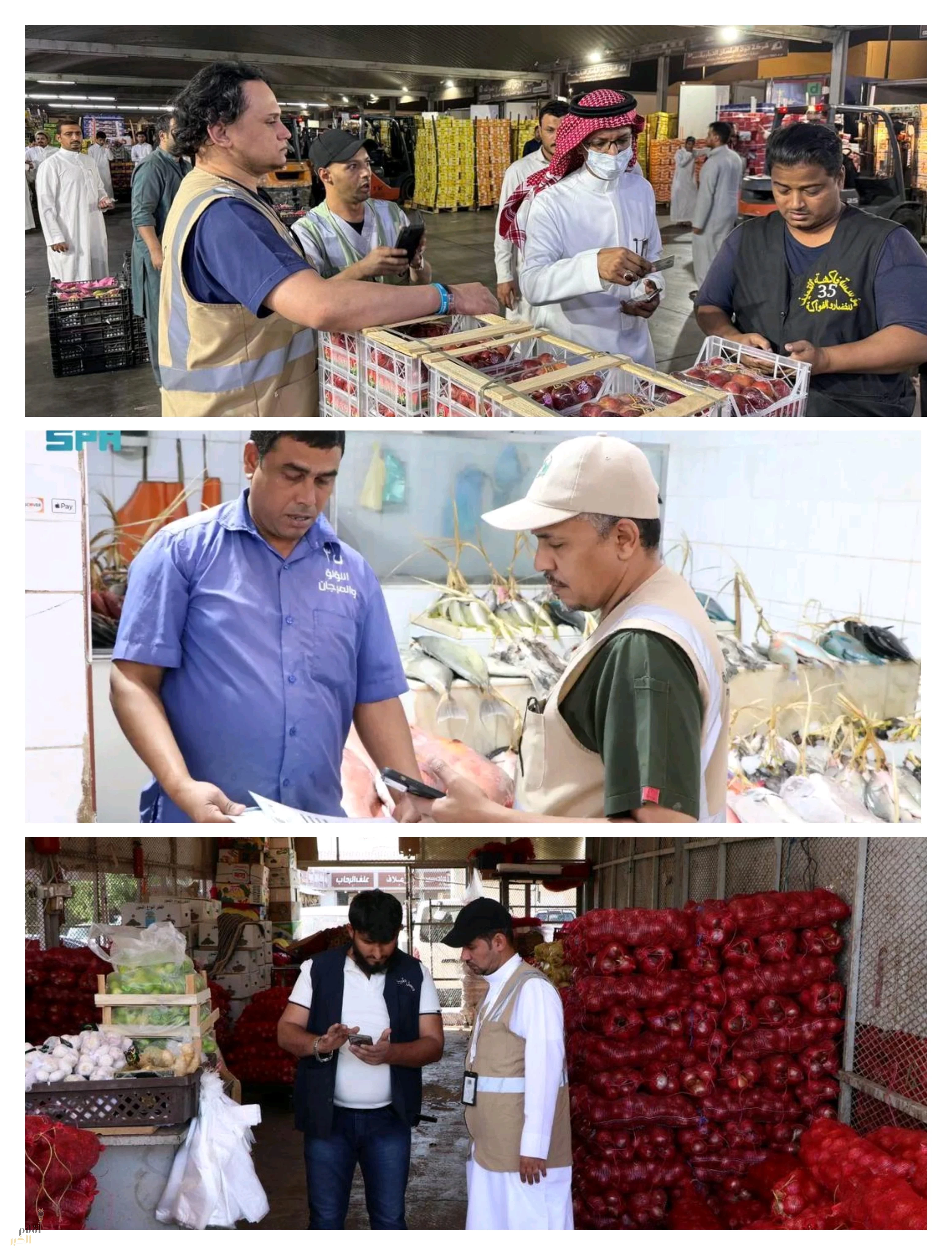 بيئة المدينة المنورة تنفّذ أكثر من 500 جولة تفقدية في أسواق النفع العام ضمن الحملة الرقابية لسلامة الأغذية