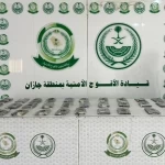 دوريات الأفواج الأمنية بمنطقة جازان تقبض على شخص لترويجه 33كلجم من الحشيش المخدر