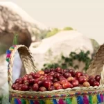 "ريف السعودية" يستهدف رفع إنتاج البن السعودي إلى 7 آلاف طن سنويًا