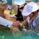 "سيل" تقود مبادرة بيئية كبرى في حي عكاظ بمشاركة 800 متطوع و800 شتلة