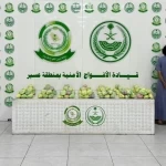 دوريات الأفواج الأمنية بمنطقة عسير تقبض على شخص لترويجه 16 كلجم من نبات القات المخدر