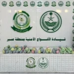 دوريات الأفواج الأمنية بمنطقة عسير تقبض على شخص لترويجه 17كلجم من القات المخدر