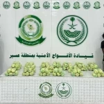 دوريات الأفواج الأمنية بمنطقة عسير تقبض على مخالفَيْن لنظام أمن الحدود لتهريبهما 20 كلجم من القات المخدر