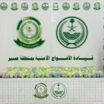 دوريات الأفواج الأمنية بمنطقة عسير تقبض على شخص لترويجه 31 كلجم من القات المخدر