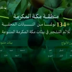 البرنامج الوطني للتشجير: تنوع بيئي فريد يُسهم في انتشار 134 نوع من النباتات المحلية الملائمة للتشجير في مكة المكرمة