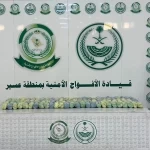 دوريات الأفواج الأمنية بمنطقة عسير تقبض على شخص لترويجه 106 كلجم من القات المخدر