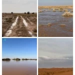 أمطار الخير تُنعش محمية الإمام تركي بن عبدالله الملكية