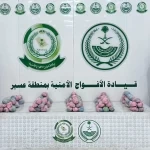 دوريات الأفواج الأمنية بمنطقة عسير تقبض على شخصين لترويجهما 14 كلجم من القات المخدر