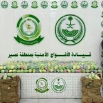 دوريات الأفواج الأمنية بمنطقة عسير تقبض على شخص لترويجه 89 كلجم من القات المخدر