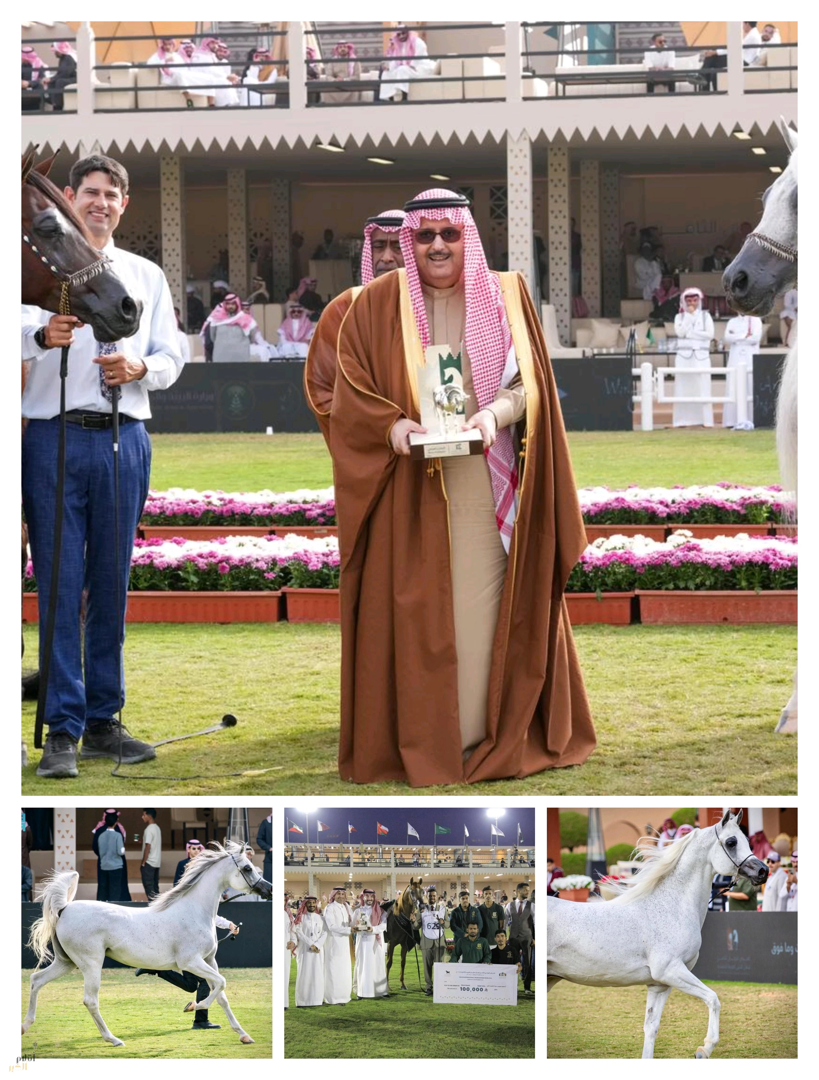 اختتام عرض جمال الخيل العربية الأصيلة الدولي