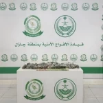 دوريات الأفواج الأمنية بمنطقة جازان تقبض على شخص لترويجه 11 كلجم القات المخدر