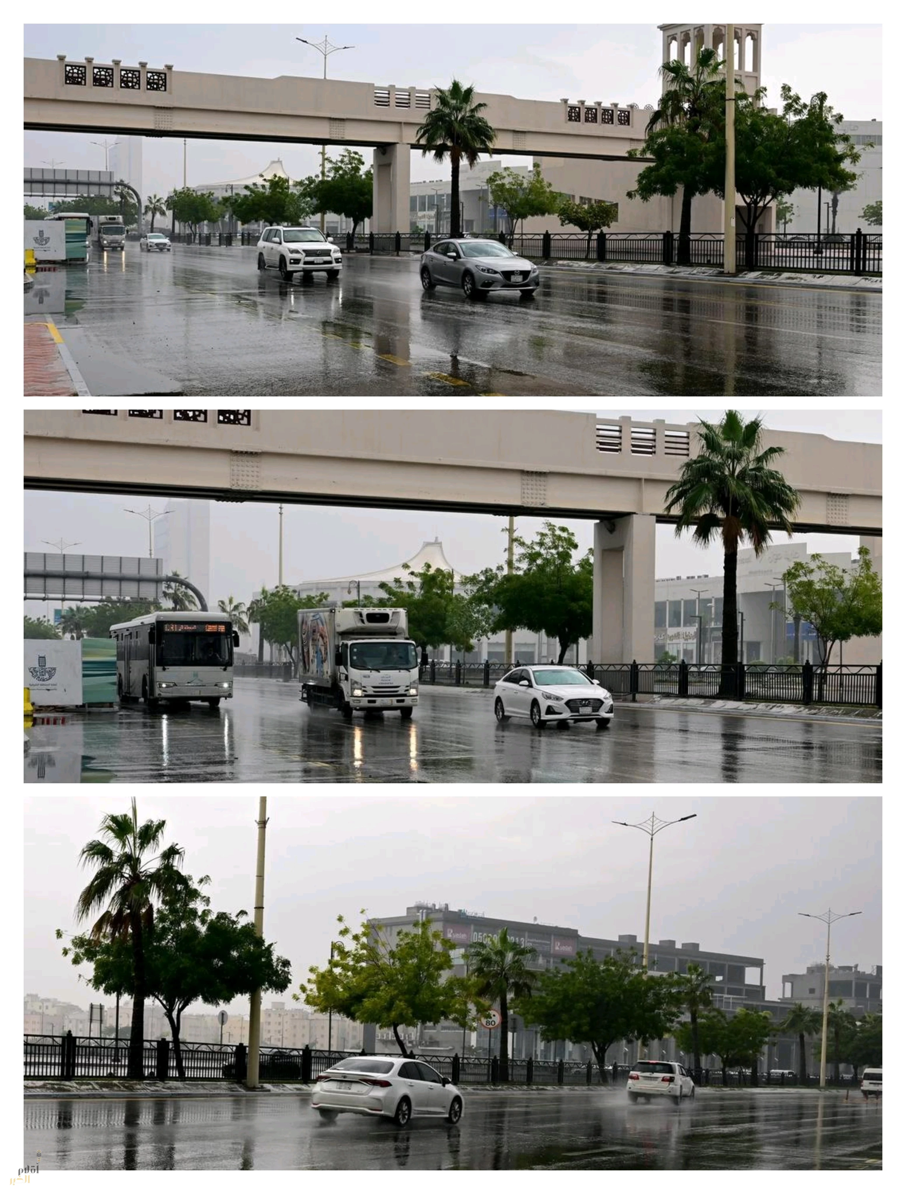 أمطار على المنطقة الشرقية