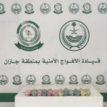 دوريات الأفواج الأمنية بمنطقة جازان تقبض على مخالف لنظام أمن الحدود لتهريبه 3 كلجم من القات المخدر