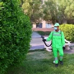 أمانة العاصمة المقدسة تنفّذ أكثر من 46 ألف عملية مكافحة لتعزيز الإصحاح البيئي