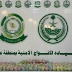 دوريات الأفواج الأمنية بمنطقة عسير تقبض على 5 مخالفين لنظام أمن الحدود لتهريبهم 42كلجم من القات المخدر